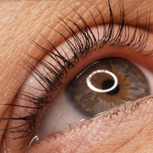 massage_formation_academie_ecole_privee_mons_rehaussement_cils_lifting_regard_beaute_naturelle