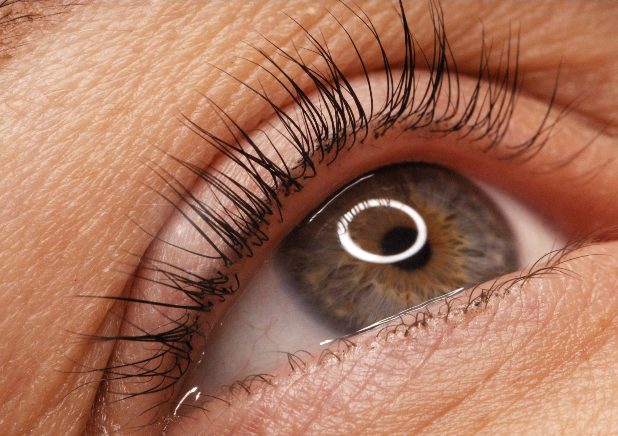 massage_formation_academie_ecole_privee_mons_rehaussement_cils_lifting_regard_beaute_naturelle